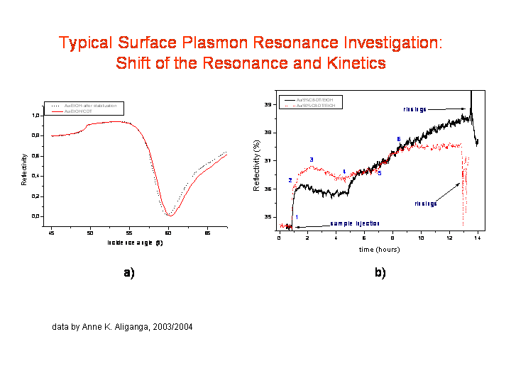 surface plasmon resonance re-creation