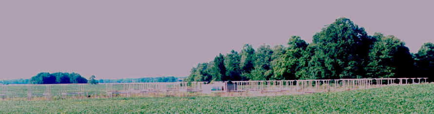 Photograph of CLOVAR radar