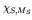 $\chi_{S,M_S}$