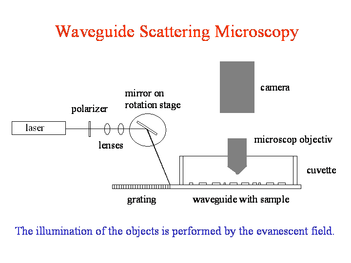 The evanescent light as the illuminating source of any microscopic ...